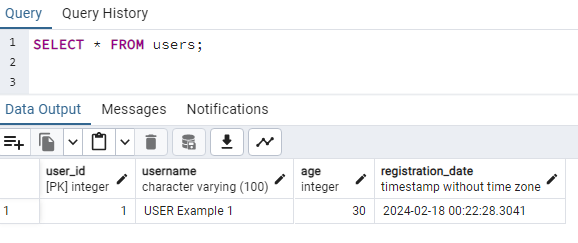 Check Inserted data through INSERT query in PostgreSQL