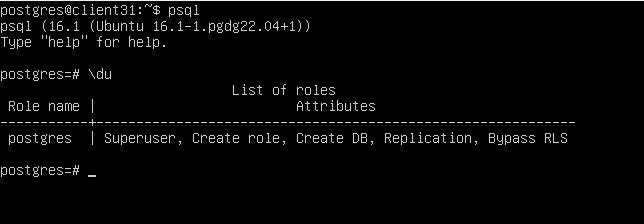 \du command to check roles